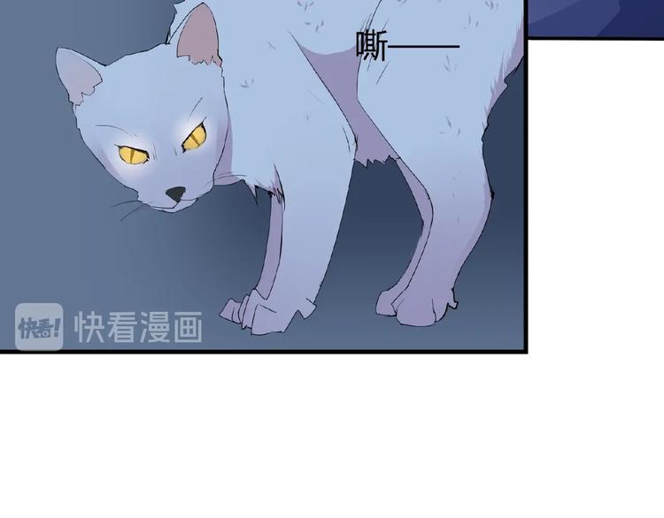第42话 猫妖(1/2)-第42话