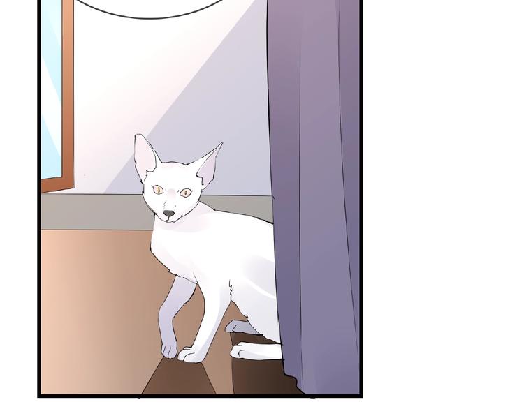 第42话 猫妖(1/2)-第42话