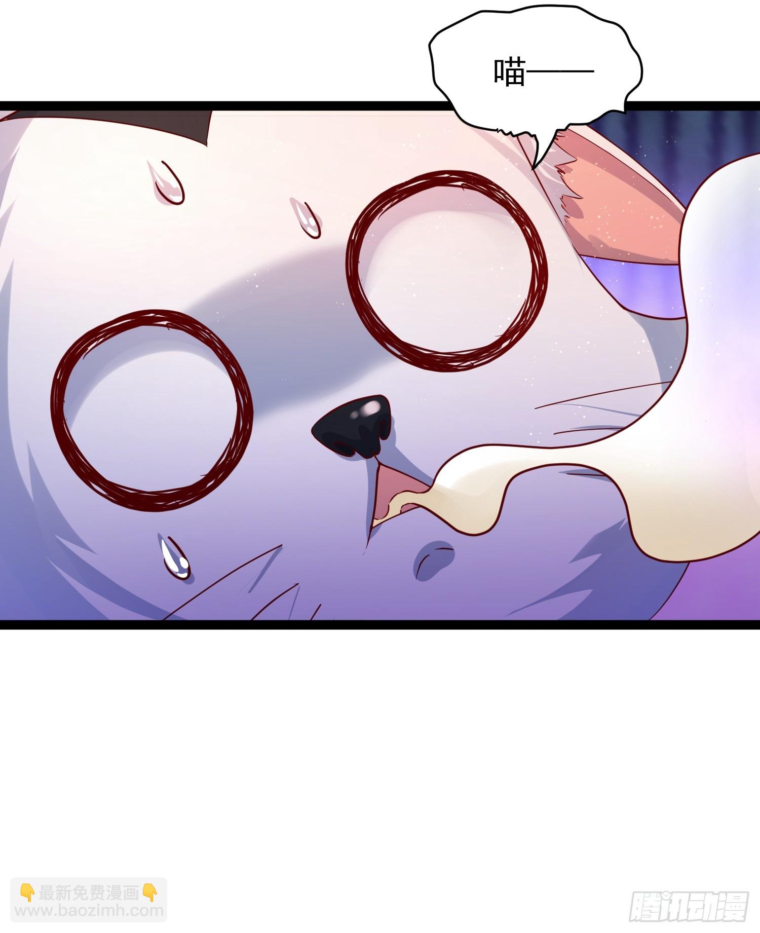 第7话 白虎为宠(1/2)-第8话