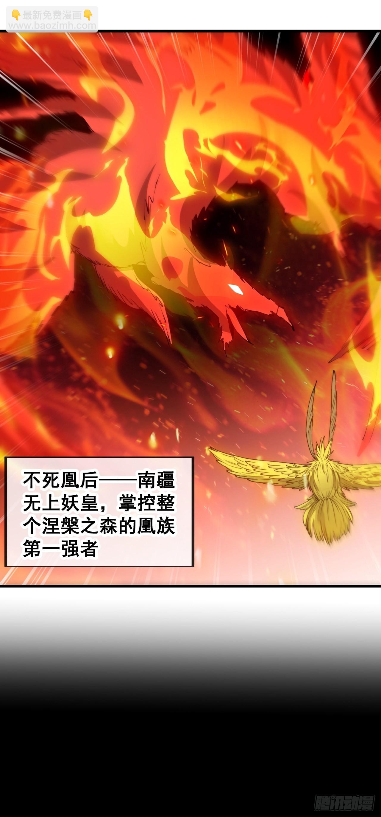 第九十二话：南疆主宰不死凰后-第94话