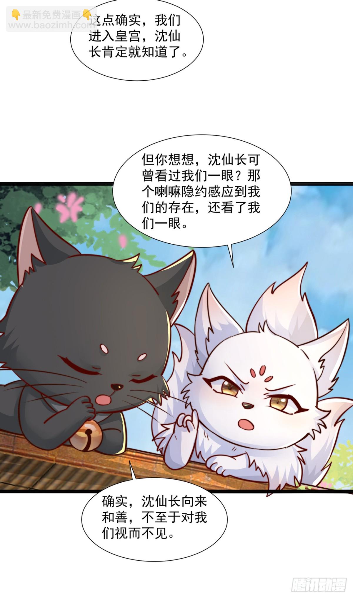 第77话 汪汪队立大功-第80话