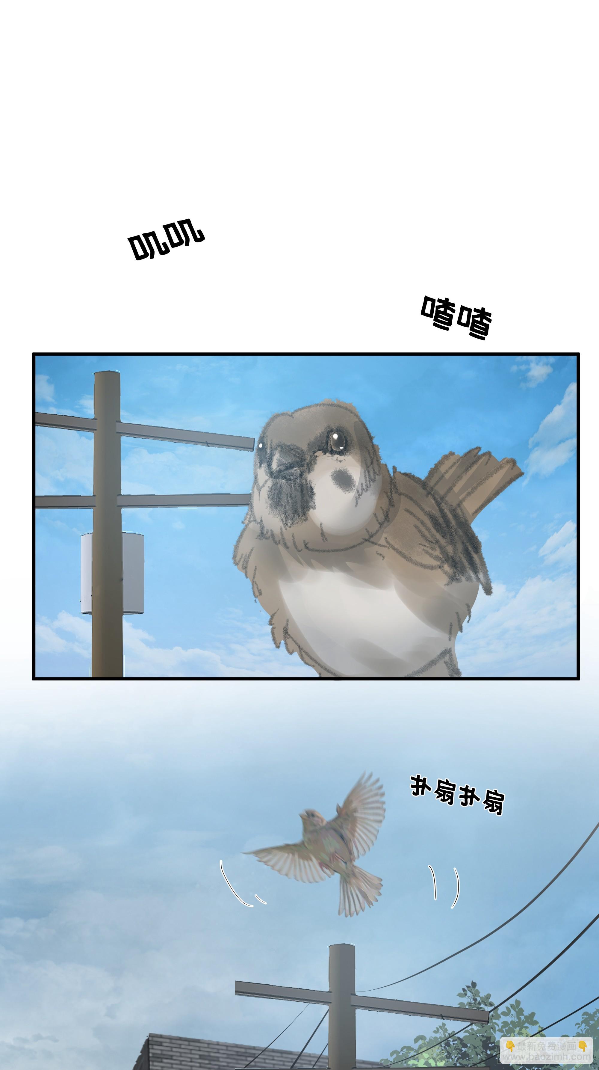 🍘我真没想重生啊 又怕兄弟苦，又怕兄弟开路虎 第20页