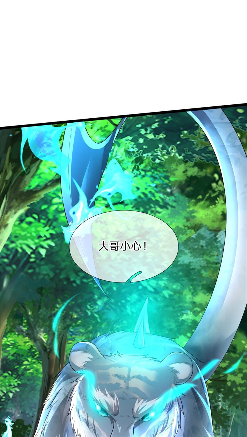 第6话 愿赌服输，铁尾妖虎(1/2)-第6话