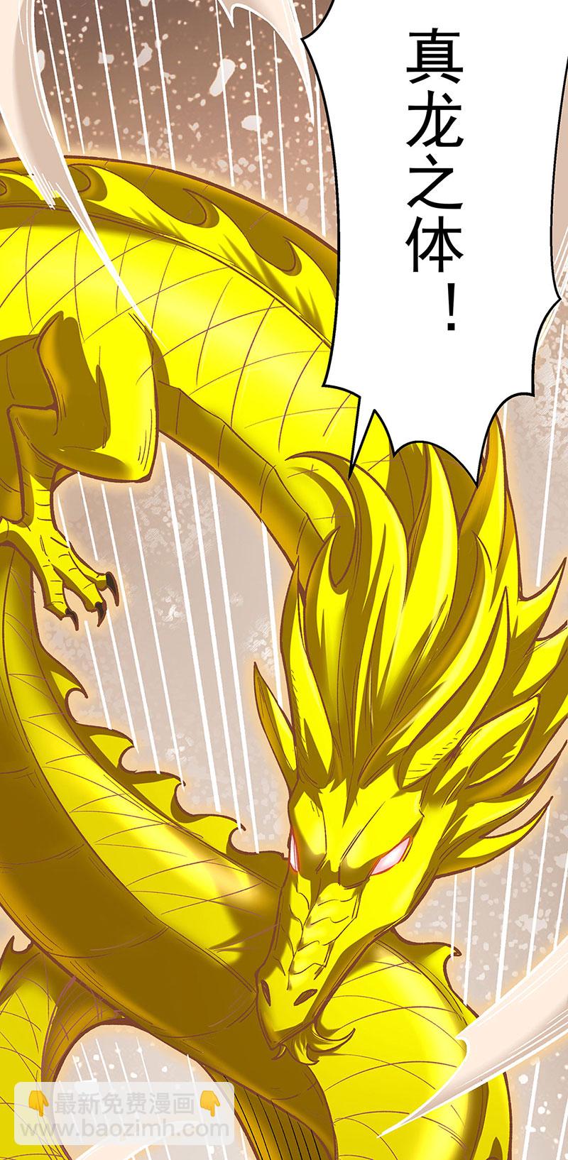 🍘武道独尊 第600话 金乌卵 第11页