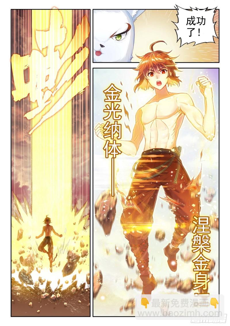 🍘武动乾坤 112 修炼金身 第10页