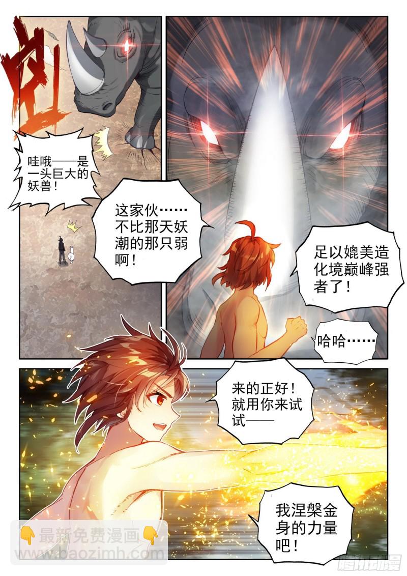 🍘武动乾坤 112 修炼金身 第12页