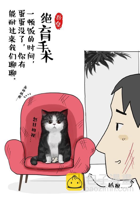🍘吾皇巴扎黑 第2话 傲娇是猫的原则 第2页