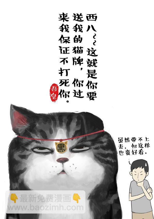 🍘吾皇巴扎黑 第2话 傲娇是猫的原则 第5页