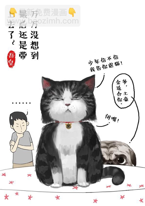 🍘吾皇巴扎黑 第2话 傲娇是猫的原则 第6页
