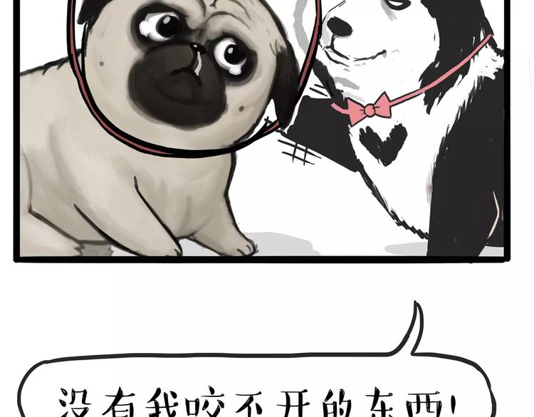 🍘吾皇巴扎黑 第104话 来人救驾 第10页