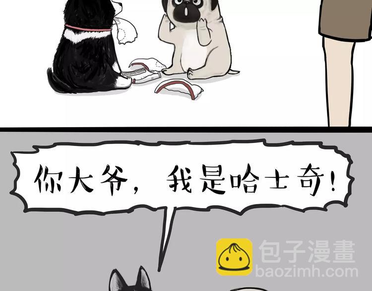 🍘吾皇巴扎黑 第104话 来人救驾 第13页