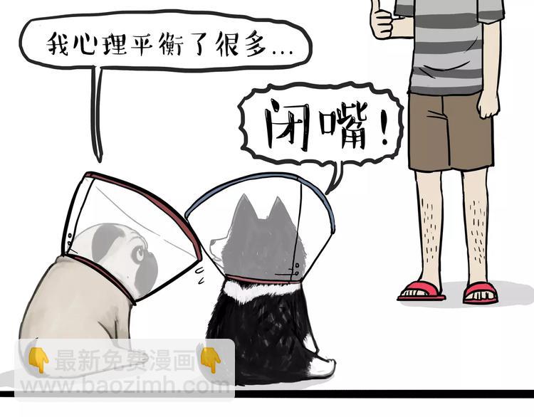 🍘吾皇巴扎黑 第104话 来人救驾 第17页