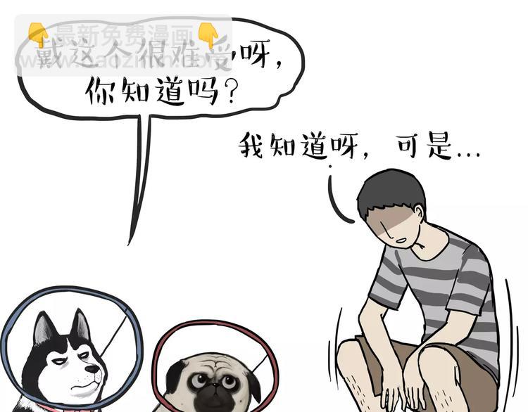 🍘吾皇巴扎黑 第104话 来人救驾 第18页