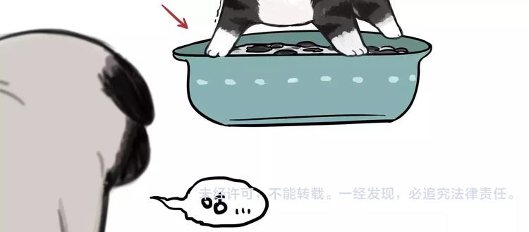 🍘吾皇巴扎黑 第104话 来人救驾 第33页