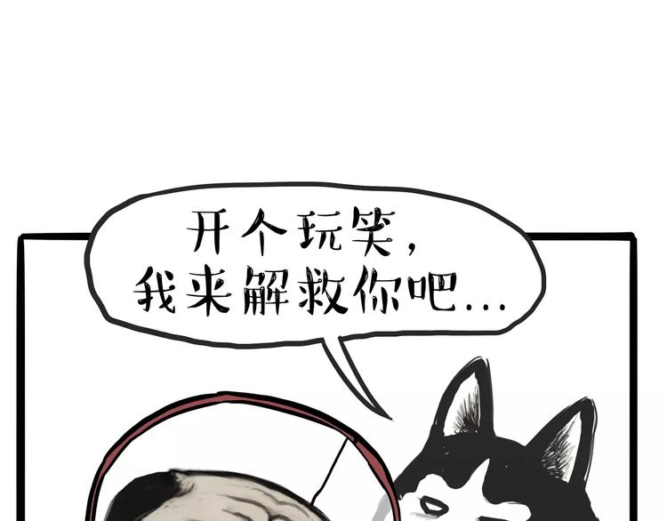 🍘吾皇巴扎黑 第104话 来人救驾 第9页