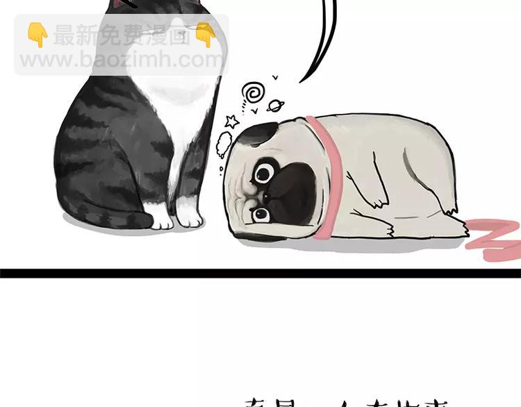 🍘吾皇巴扎黑 第106话 遛弯 第11页