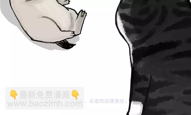 🍘吾皇巴扎黑 第106话 遛弯 第40页