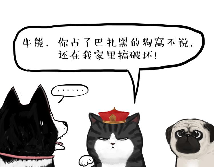 🍘吾皇巴扎黑 第110话 谁说了算 第1页