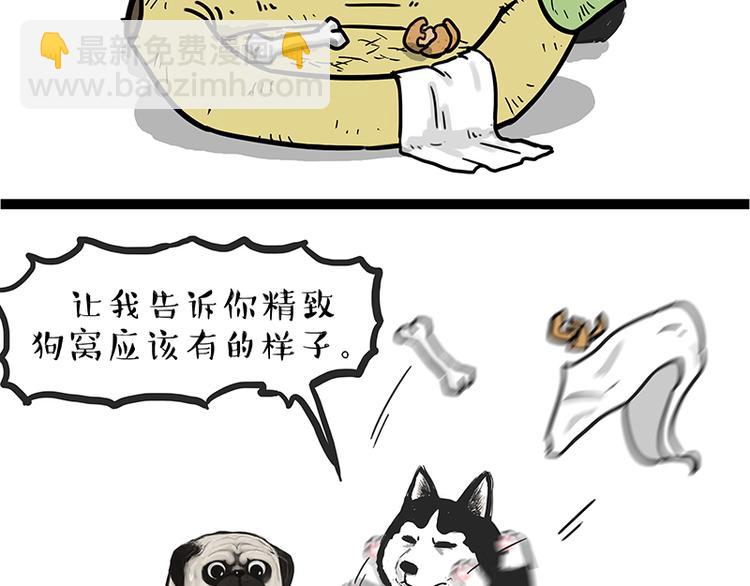 🍘吾皇巴扎黑 第110话 谁说了算 第42页