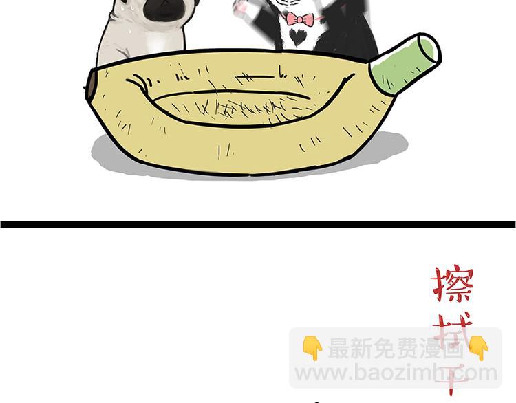 🍘吾皇巴扎黑 第110话 谁说了算 第43页