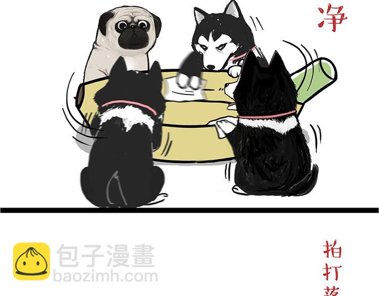 🍘吾皇巴扎黑 第110话 谁说了算 第44页