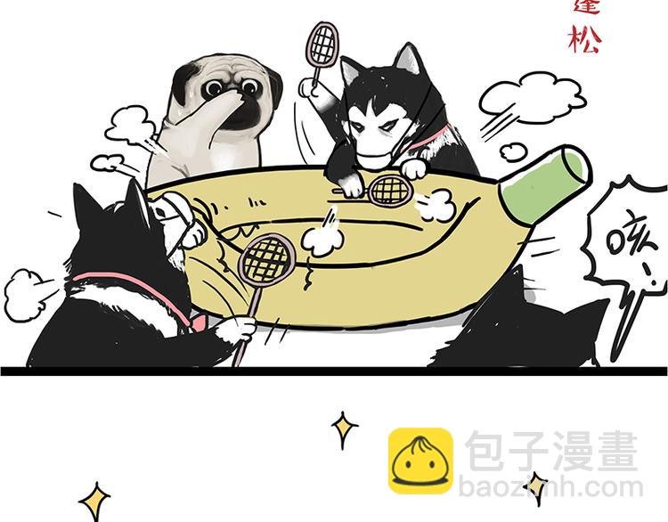 🍘吾皇巴扎黑 第110话 谁说了算 第45页