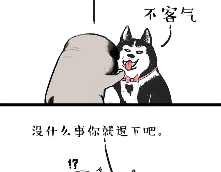 🍘吾皇巴扎黑 第110话 谁说了算 第47页