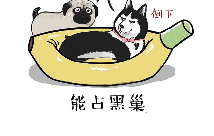 🍘吾皇巴扎黑 第110话 谁说了算 第48页