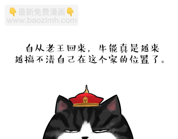 🍘吾皇巴扎黑 第110话 谁说了算 第49页