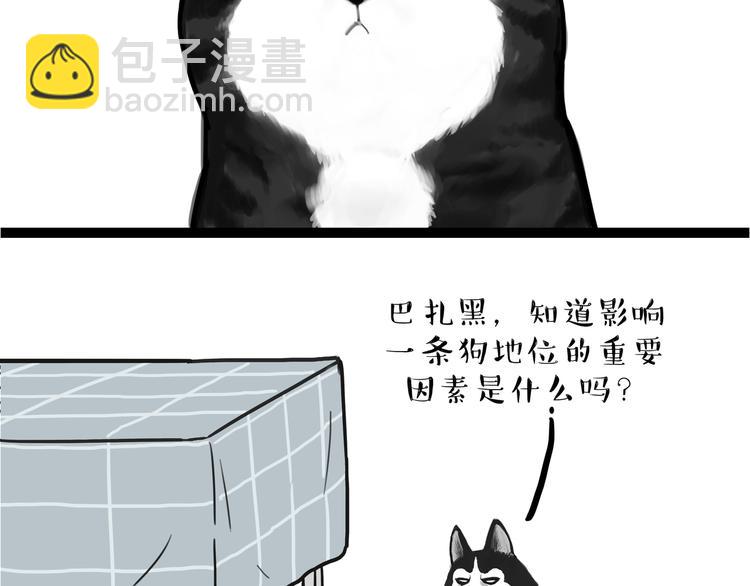 🍘吾皇巴扎黑 第110话 谁说了算 第50页
