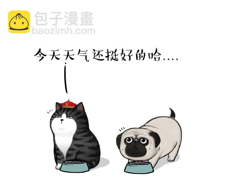 🍘吾皇巴扎黑 第114话 一只狗 第16页