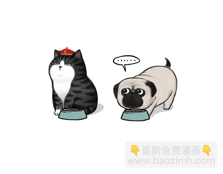 🍘吾皇巴扎黑 第114话 一只狗 第17页