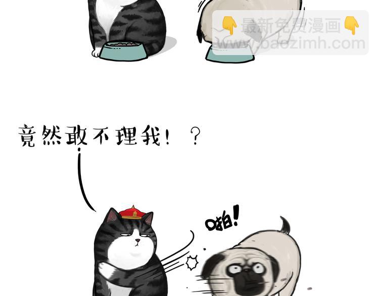 🍘吾皇巴扎黑 第114话 一只狗 第19页