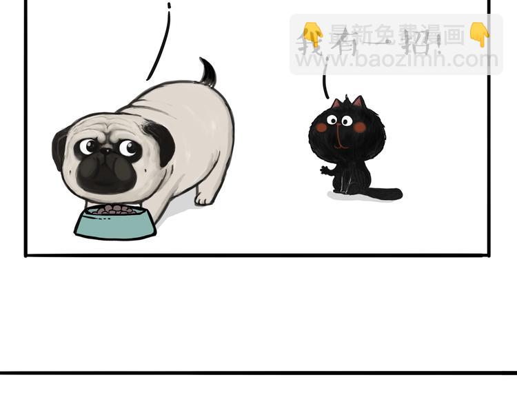🍘吾皇巴扎黑 第114话 一只狗 第25页