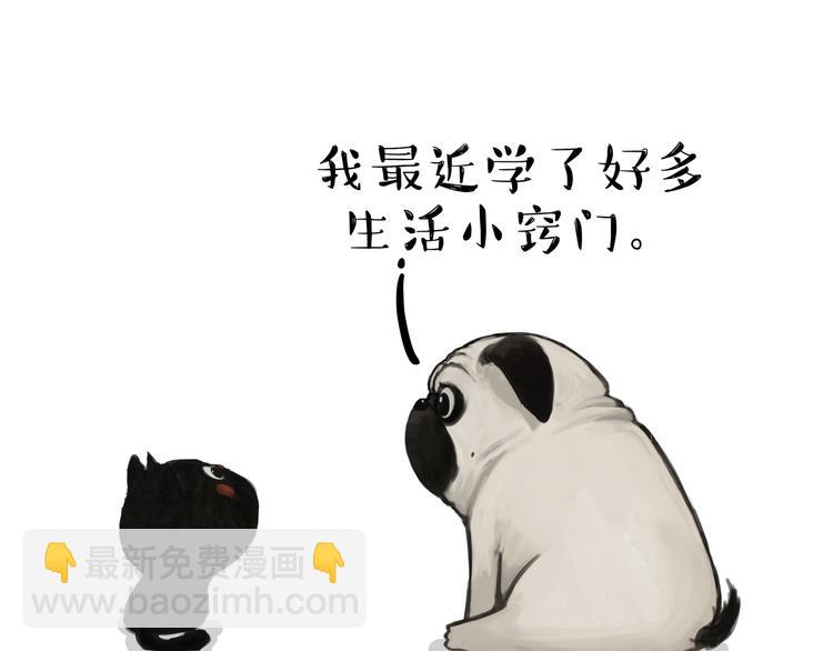 🍘吾皇巴扎黑 第114话 一只狗 第34页