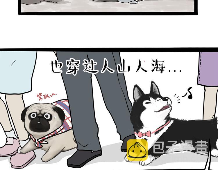 🍘吾皇巴扎黑 第116话 离家出走 第16页