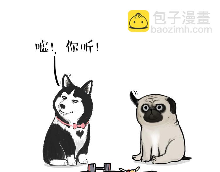 🍘吾皇巴扎黑 第116话 离家出走 第29页