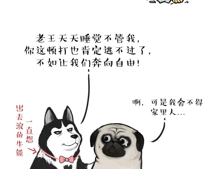 🍘吾皇巴扎黑 第116话 离家出走 第3页