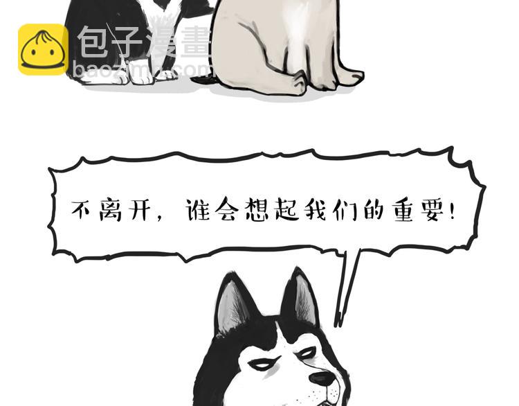 🍘吾皇巴扎黑 第116话 离家出走 第4页