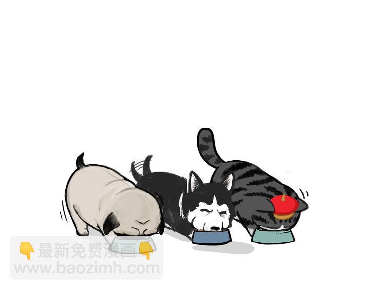 🍘吾皇巴扎黑 第116话 离家出走 第43页