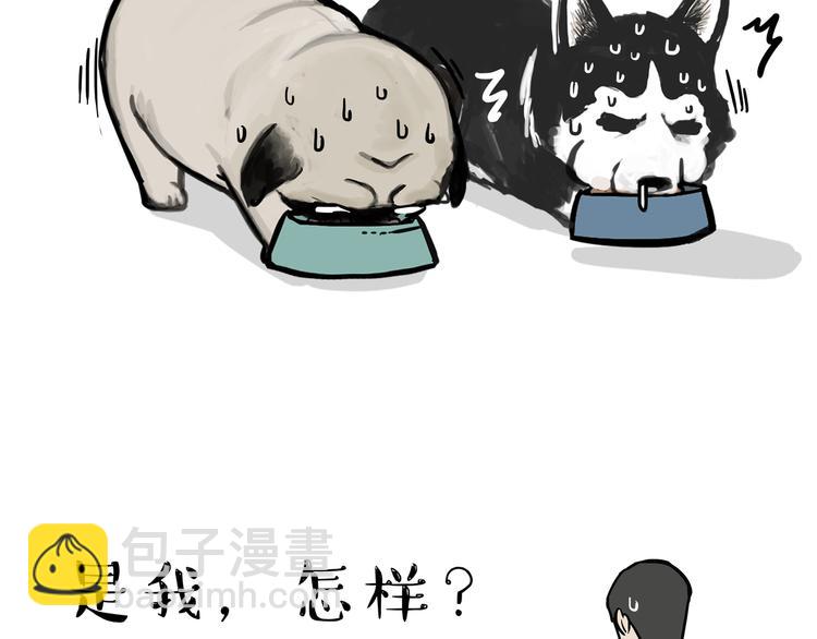 🍘吾皇巴扎黑 第116话 离家出走 第46页