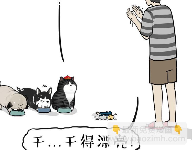 🍘吾皇巴扎黑 第116话 离家出走 第47页