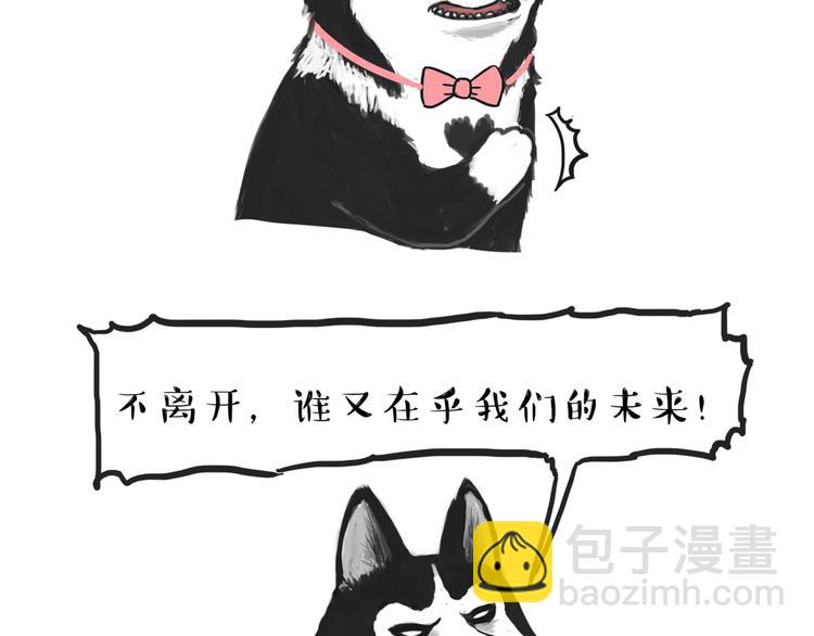 🍘吾皇巴扎黑 第116话 离家出走 第5页