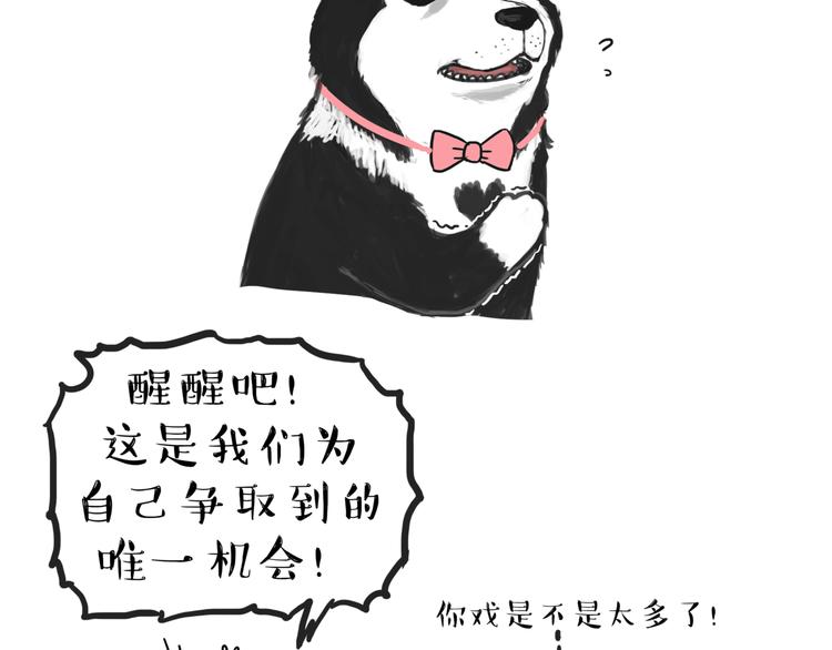 🍘吾皇巴扎黑 第116话 离家出走 第6页