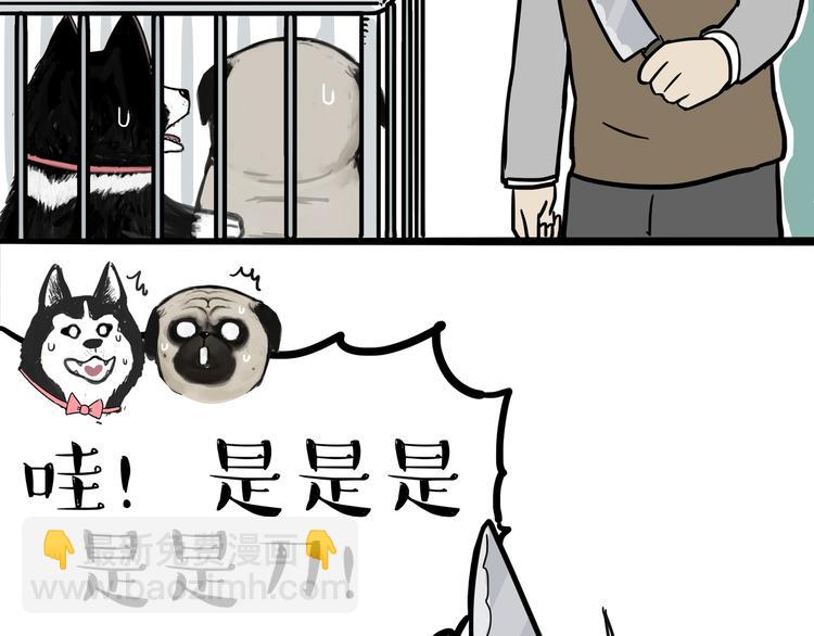 🍘吾皇巴扎黑 第118话 去势？！ 第11页