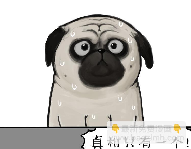 🍘吾皇巴扎黑 第118话 去势？！ 第13页