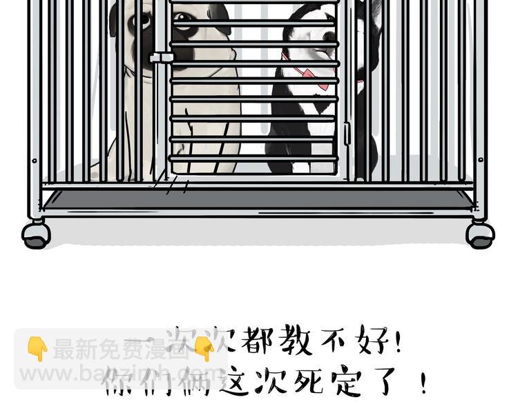 🍘吾皇巴扎黑 第118话 去势？！ 第2页