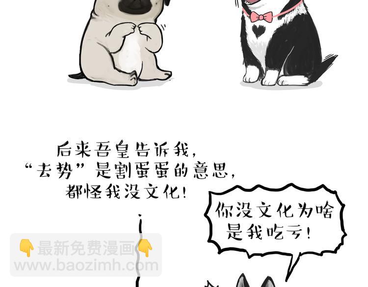 🍘吾皇巴扎黑 第118话 去势？！ 第29页