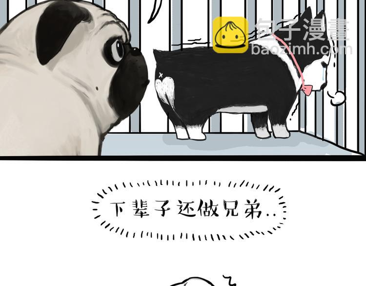 🍘吾皇巴扎黑 第118话 去势？！ 第31页