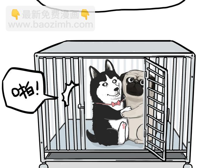 🍘吾皇巴扎黑 第118话 去势？！ 第35页
